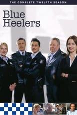 Blue Heelers Season 12 Poster