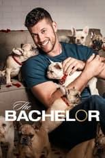 The Bachelor Season 26 Poster