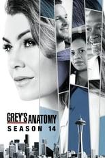 Grey's Anatomy Season 14 Poster