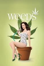 Weeds Season 4 Poster