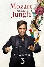 Mozart in the Jungle Season 3 Poster