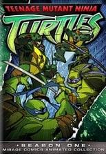 Teenage Mutant Ninja Turtles Season 1 Poster