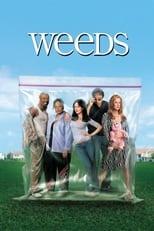 Weeds Season 1 Poster