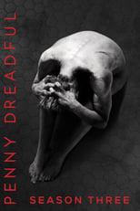 Penny Dreadful Season 3 Poster