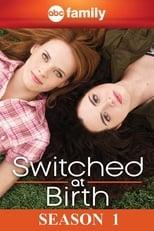 Switched at Birth Season 1 Poster