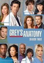 Grey's Anatomy Season 3 Poster