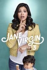 Jane the Virgin Season 3 Poster