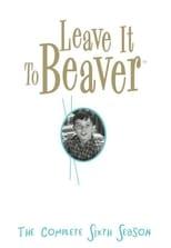 Leave It to Beaver Season 6 Poster