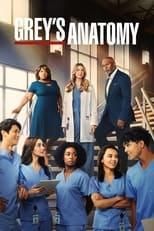 Grey's Anatomy Season 19 Poster