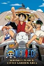 One Piece Entering into the Grand Line Poster