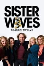 Sister Wives Season 9 Poster