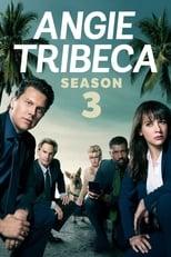 Angie Tribeca Season 3 Poster