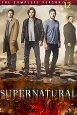 Supernatural Season 12 Poster