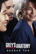 Grey's Anatomy Season 10 Poster