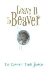 Leave It to Beaver Season 3 Poster