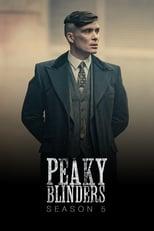 Peaky Blinders Series 5 Poster