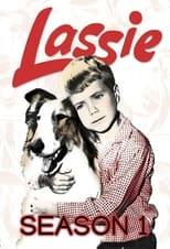 Lassie Season 1 Poster