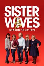 Sister Wives Season 11 Poster