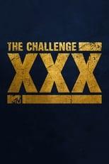 The Challenge XXX: Dirty Thirty Poster