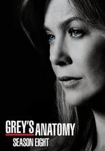 Grey's Anatomy Season 8 Poster