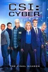 CSI: Cyber Season 2 Poster