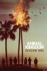 Animal Kingdom Season 1 Poster