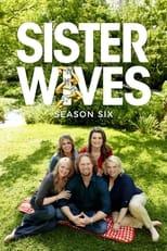 Sister Wives Season 4 Poster