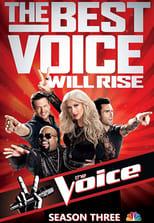 The Voice Season 3 Poster