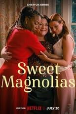 Sweet Magnolias Season 3 Poster