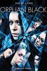 Orphan Black Season 3 Poster