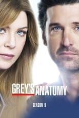 Grey's Anatomy Season 9 Poster