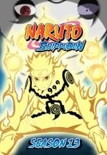 Naruto Shippūden The Seven Shinobi Swordsman Poster