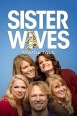 Sister Wives Season 3 Poster