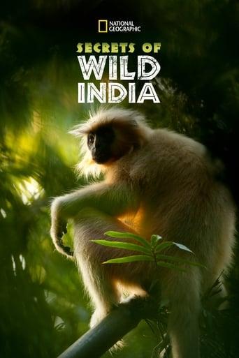 Secrets of Wild India Poster