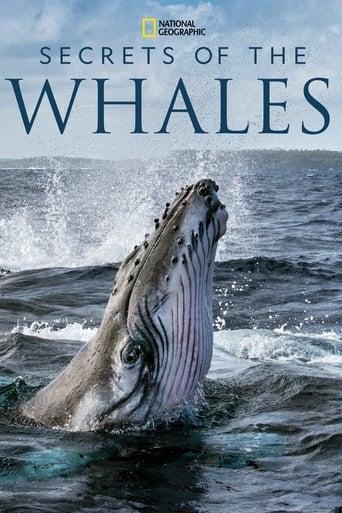 Secrets of the Whales Poster