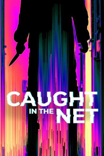 Caught in the Net Poster