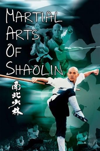 Martial Arts of Shaolin poster