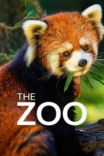 The Zoo Poster