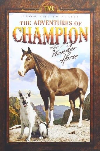 The Adventures of Champion Poster