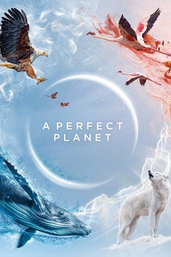 A Perfect Planet Poster