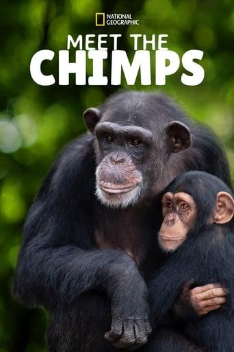 Meet the Chimps Poster