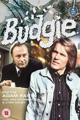 Budgie Poster