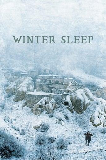 Winter Sleep poster