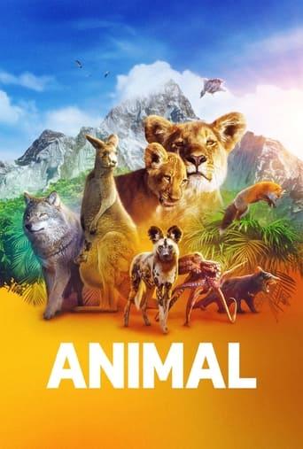 Animal Poster