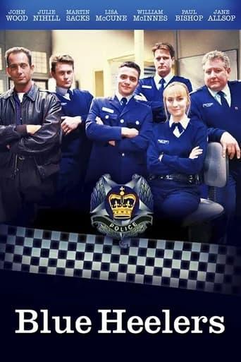 Blue Heelers Poster