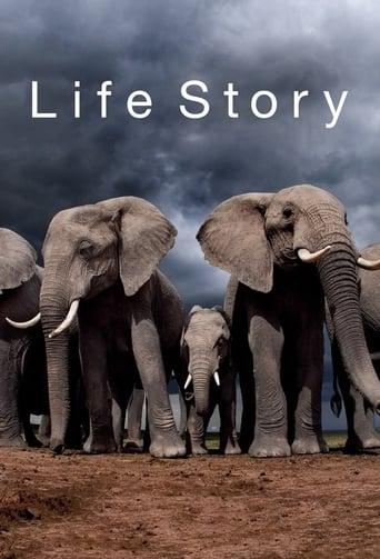 Life Story Poster