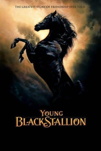 Young Black Stallion poster