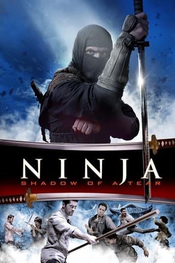 Ninja: Shadow of a Tear poster