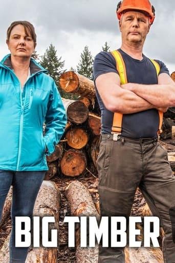 Big Timber Poster