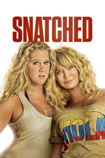 Snatched poster